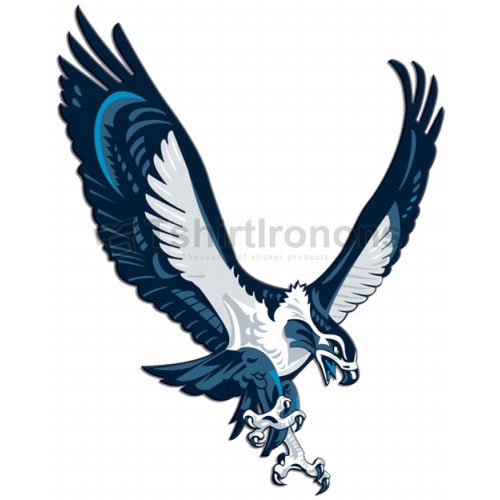 Seattle Seahawks T-shirts Iron On Transfers N756
